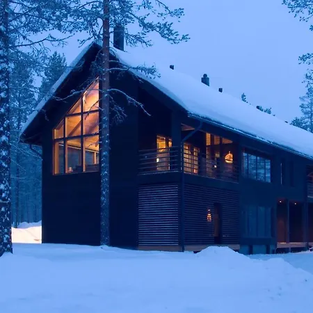 Spirit Luxury & Леви